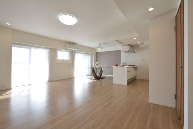 キャッスル共進マンション LDK