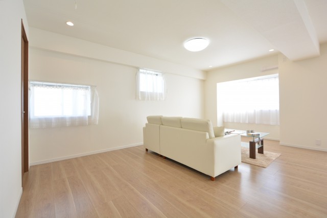 キャッスル共進マンション LDK