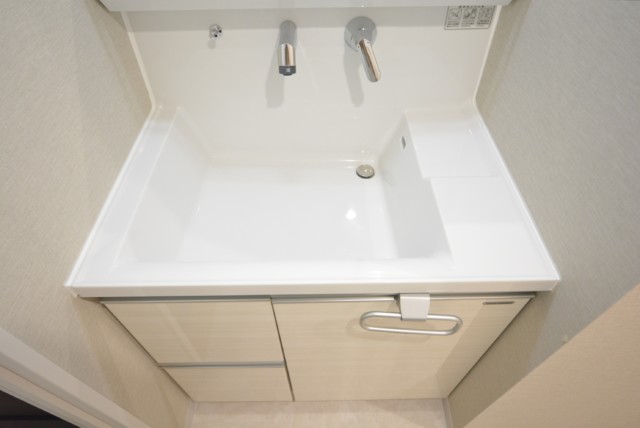 秀和第一南平台レジデンス 洗面室