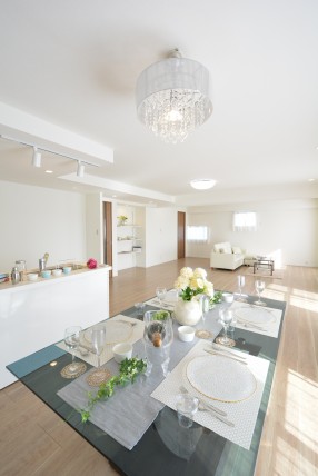 キャッスル共進マンション LDK