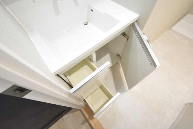 秀和第一南平台レジデンス 洗面室