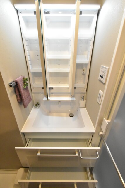 シャトレー駒沢 洗面室