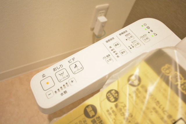 キャッスル共進マンション トイレ