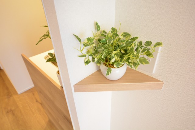 ニューライフ等々力 LDK