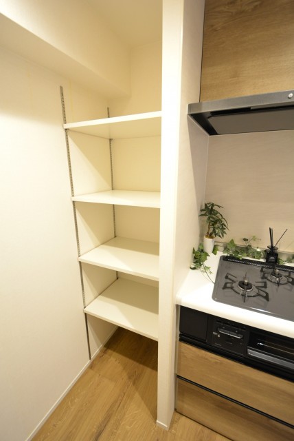 ニューライフ等々力 キッチン