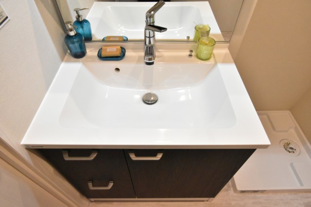 エクセレンス池袋 洗面室