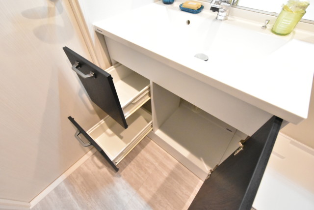 エクセレンス池袋 洗面室