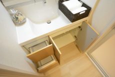 エクセル東陽町 洗面室