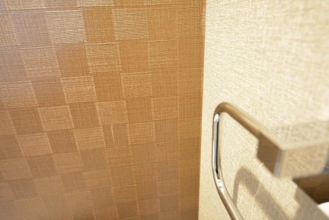 マンション池上 トイレ