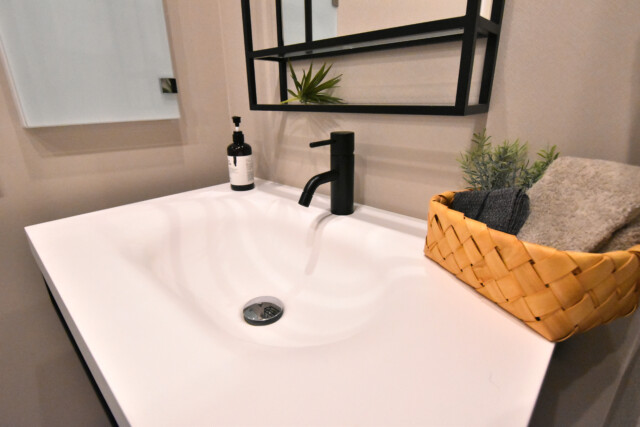 トーア文京マンション 洗面室