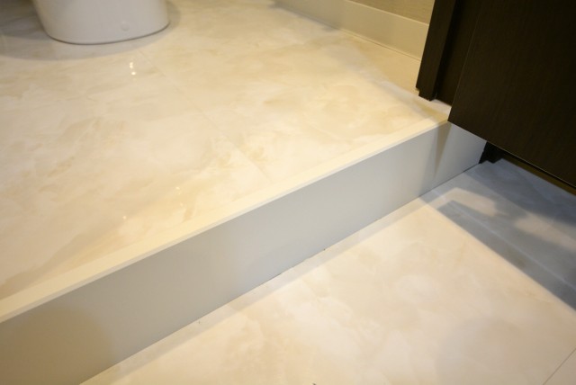 東池袋ハイツ壱番館 トイレ