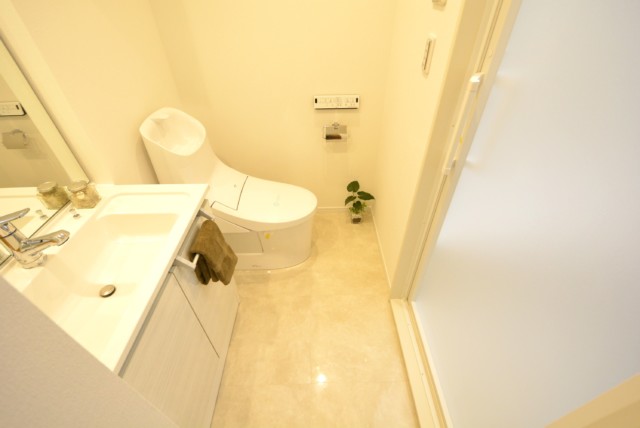 ニックハイム西蒲田 洗面室