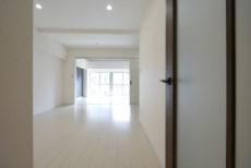 駒場ネオパレス LDK+洋室 駒場ネオパレス LDK+洋室