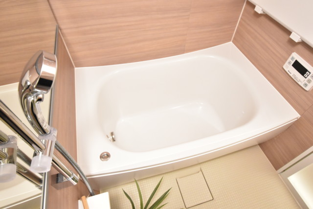 東池袋ハイツ壱番館 浴室