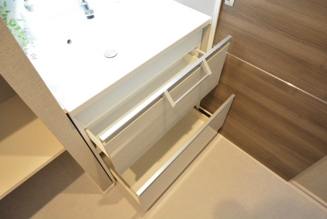 朝日プラザ東池袋 洗面室