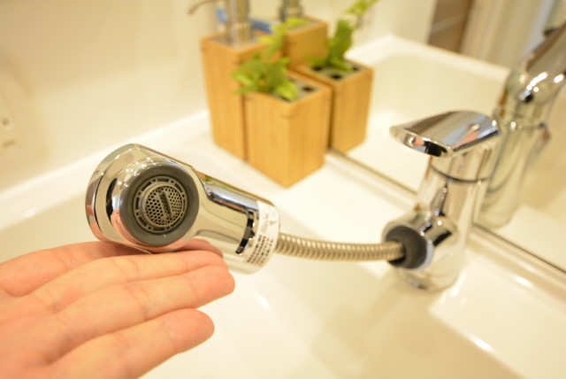 ニックハイム西蒲田 洗面室