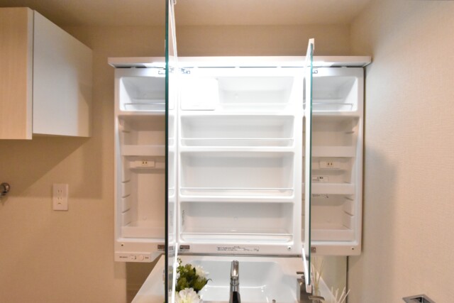 目黒青葉台グランドハイツ 洗面室