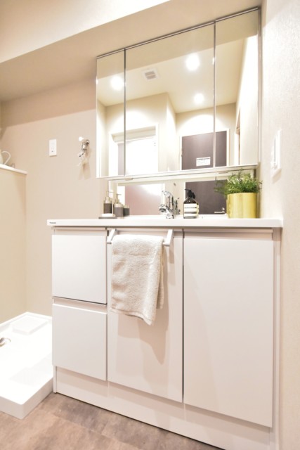 東池袋ハイツ壱番館 洗面室