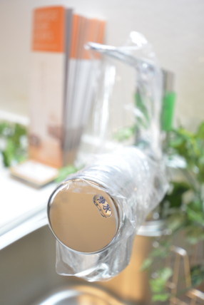 ツインシティ東砂アネックス (32)キッチン