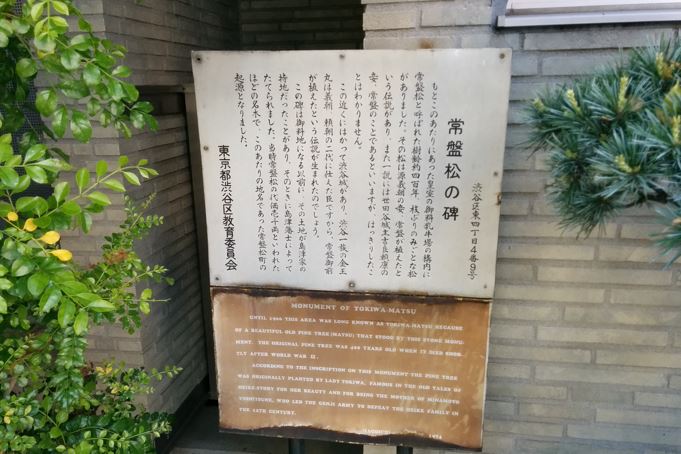 THEパームス渋谷常盤松 周辺