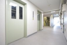 駒場ネオパレス 玄関 駒場ネオパレス 玄関