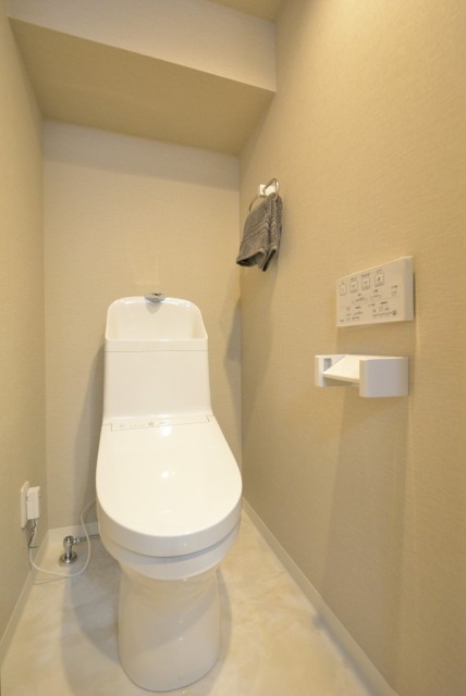 東池袋ハイツ壱番館 トイレ