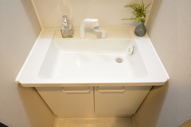 東池袋ハイツ壱番館 洗面室