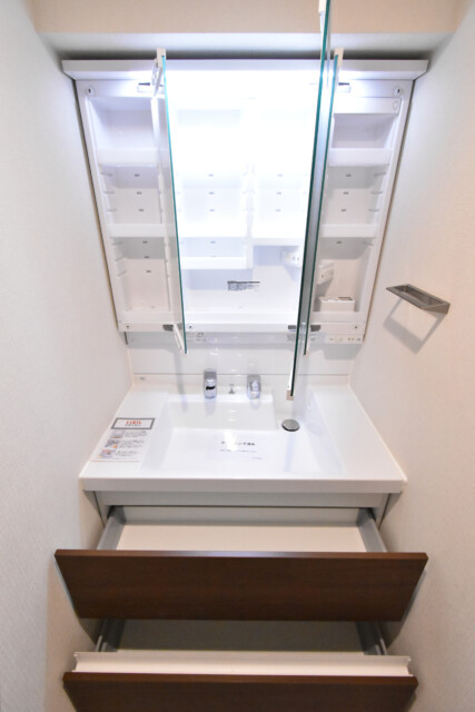 シャトレー五反田 洗面室