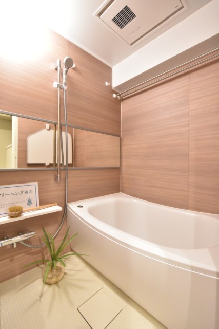 東池袋ハイツ壱番館 浴室