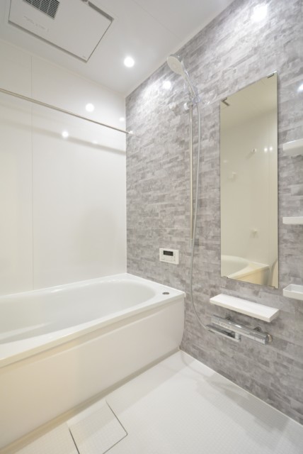 駒場ネオパレス 浴室 駒場ネオパレス 浴室