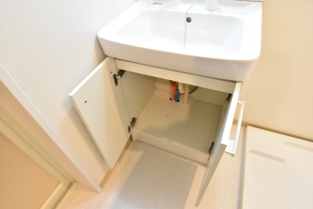 秀和築地レジデンス 洗面室