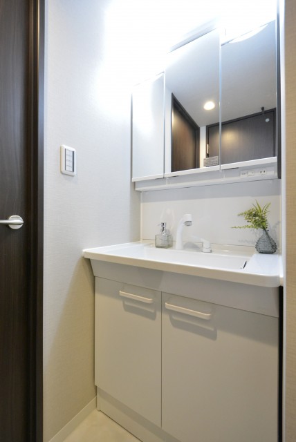 東池袋ハイツ壱番館 洗面室