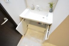 東池袋ハイツ壱番館 洗面室