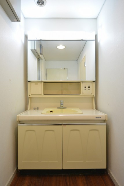 グランドメゾン池袋 洗面室