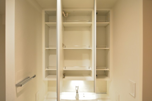 THEパームス渋谷常盤松 洗面室