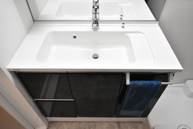 アルテール新宿 洗面室