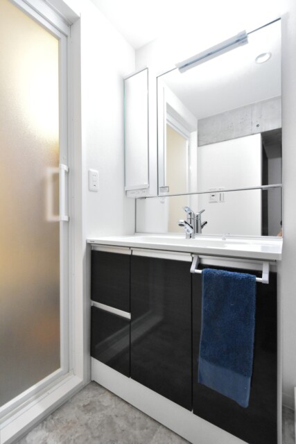 アルテール新宿 洗面室