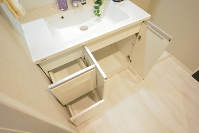 西蒲田スカイハイツ 洗面室