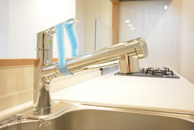 ライオンズマンション護国寺 キッチン