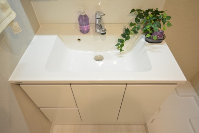 西蒲田スカイハイツ 洗面室