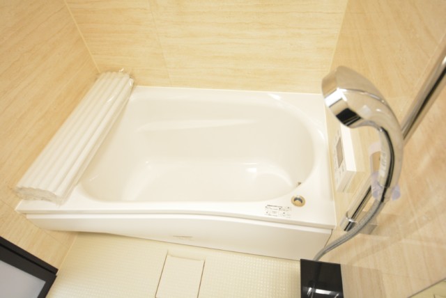 ライオンズマンション護国寺 洗面室