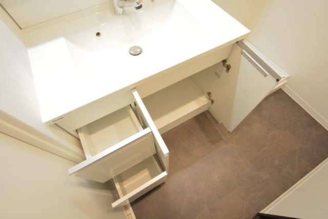 ライオンズマンション護国寺 洗面室