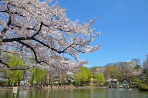 見次公園（画像は板橋区役所HPから）