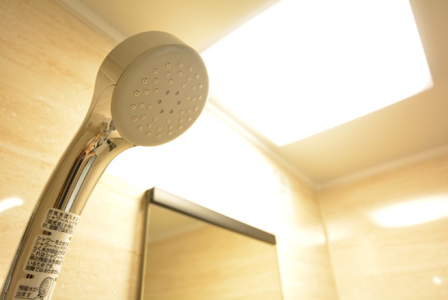 ライオンズマンション護国寺 洗面室