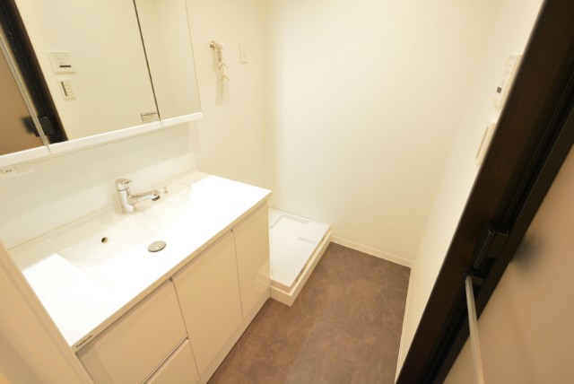 ライオンズマンション護国寺 洗面室
