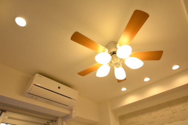 渋谷藤和コープ LDK+洋室