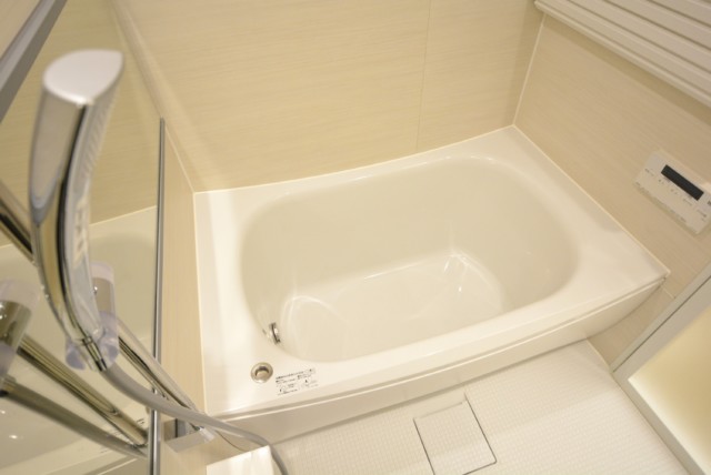 ハイツ千駄ヶ谷 浴室