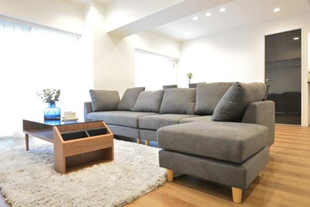 西蒲田スカイハイツ LDK