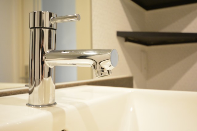 馬事公苑前ハイム 洗面室