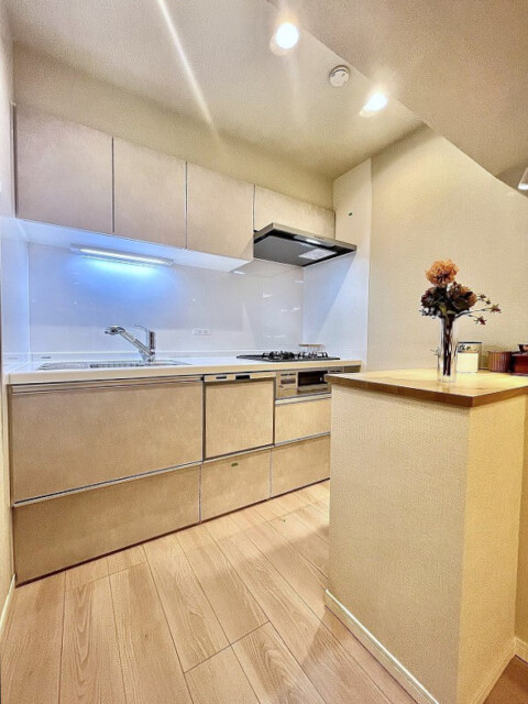 トーエイ高井戸 キッチン